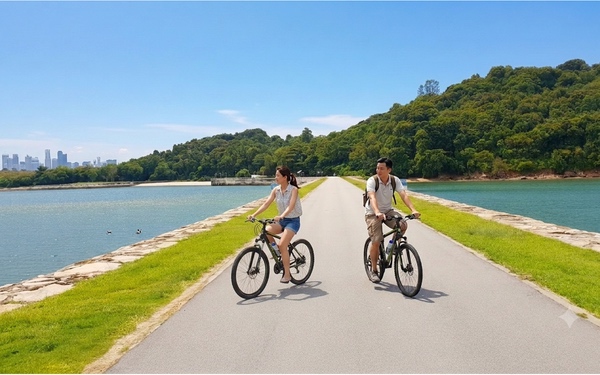 Couple posing by the sea with bicycles with Gogreen